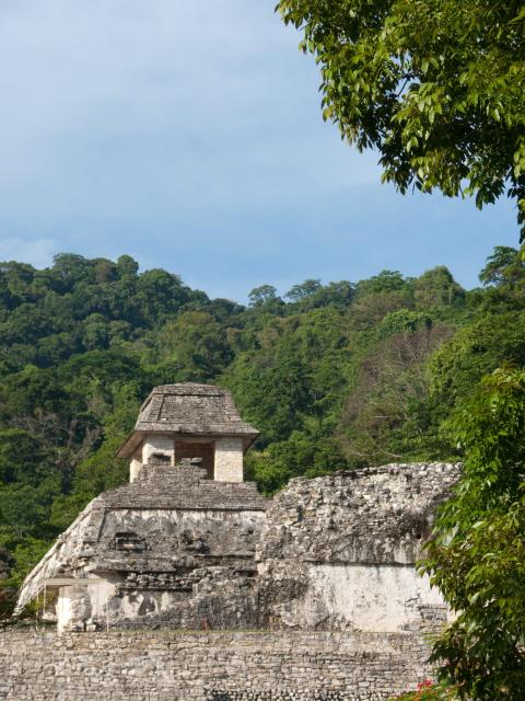Archäologische Zone Palenque-12.jpg