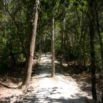 Fußweg zwischen den Ruinen in Calakmul