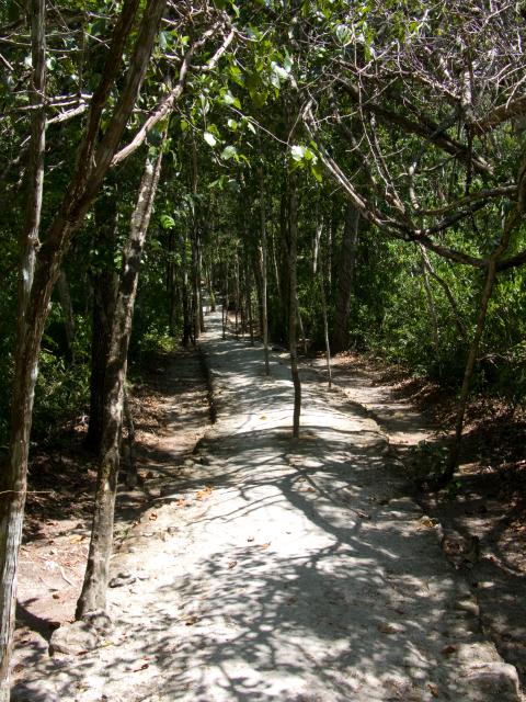 Fußweg zwischen den Ruinen in Calakmul-2