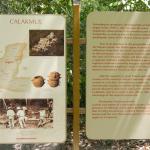 Erläuterungen zu Calakmul