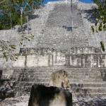 Ruinen in Calakmul-5
