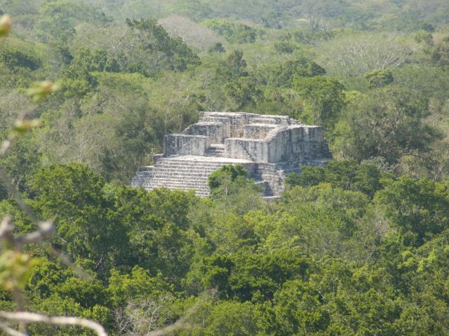 Ruinen in Calakmul-7