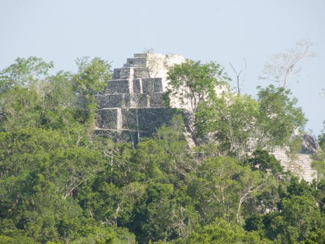 Ruinen in Calakmul-23