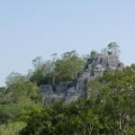 Ruinen in Calakmul-25