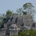 Ruinen in Calakmul-26