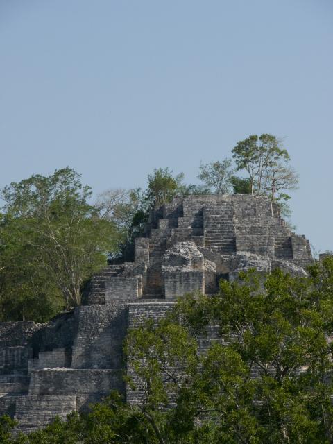 Ruinen in Calakmul-27