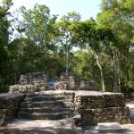 Ruinen in Calakmul-28
