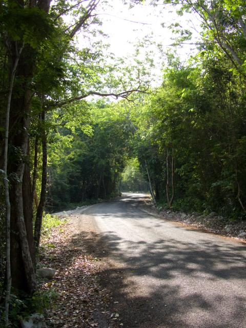 Straße nach Calakmul