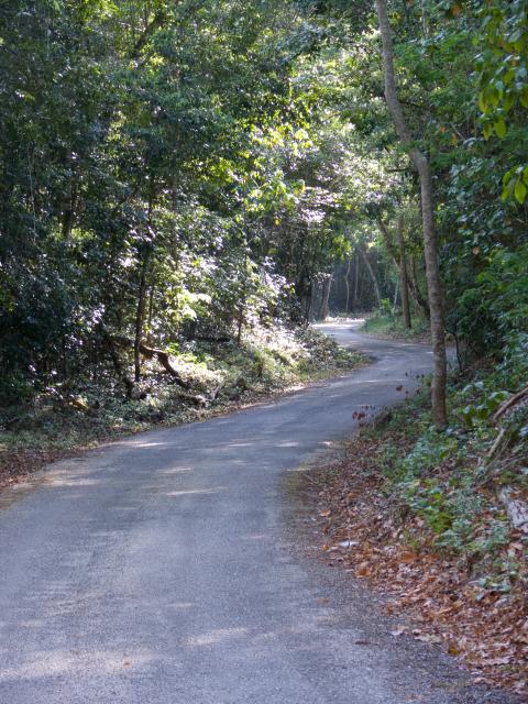 Straße nach Calakmul-3