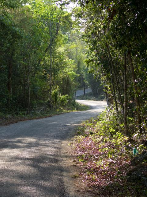 Straße nach Calakmul-5