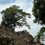 Ruinen von Yaxchilan
