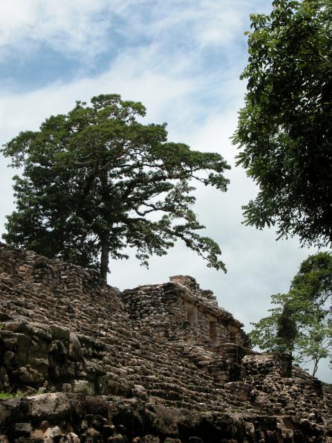 Ruinen von Yaxchilan