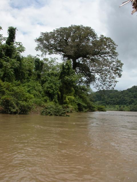 Bootsfahrt auf dem Fluss Usumacinta-7