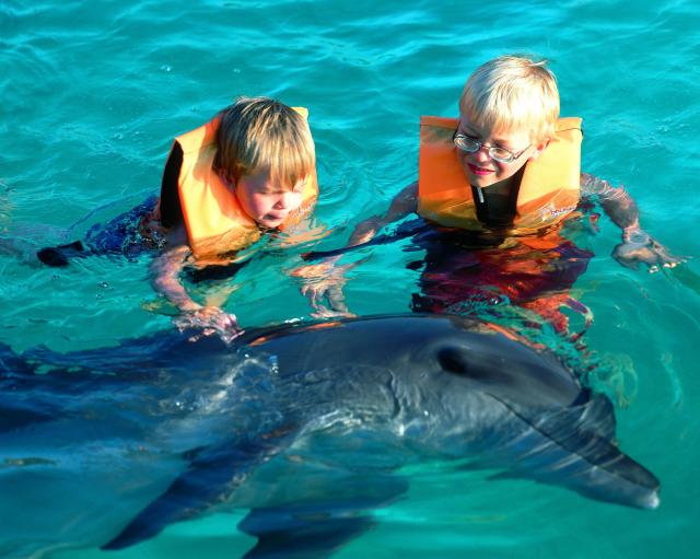 Mit Delfinen schwimmen-3