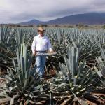 Präsentation eines Jimador auf den Agavenfeldern von Tequila_-7