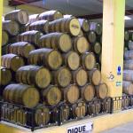 Besichtigung der Produktionsanlage & Tequila Verkostung bei der Tequileria Herradura-6