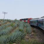 Fahrt mit dem Tequila Express von Guadalajara nach Amatitan-10