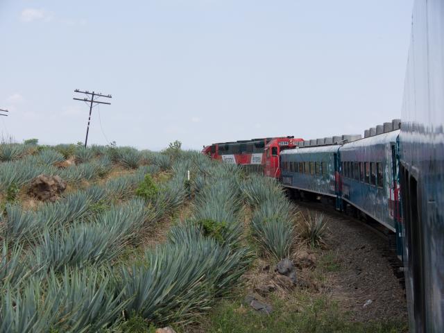 Fahrt mit dem Tequila Express von Guadalajara nach Amatitan-10