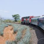 Fahrt mit dem Tequila Express von Guadalajara nach Amatitan-11