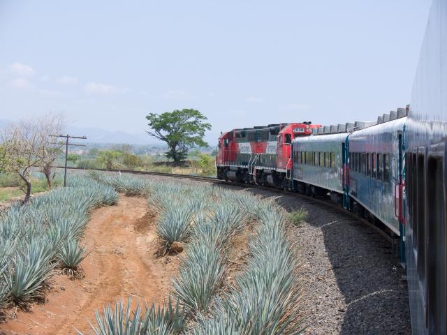 Fahrt mit dem Tequila Express von Guadalajara nach Amatitan-11