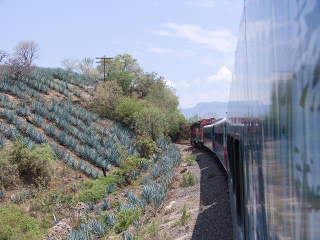 Fahrt mit dem Tequila Express von Guadalajara nach Amatitan-13