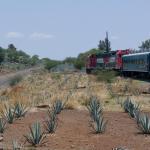 Fahrt mit dem Tequila Express von Guadalajara nach Amatitan-18
