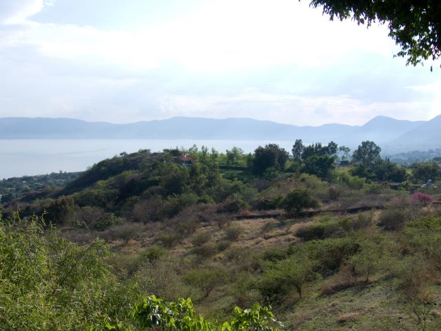 Impressionen Lago Chapala-6