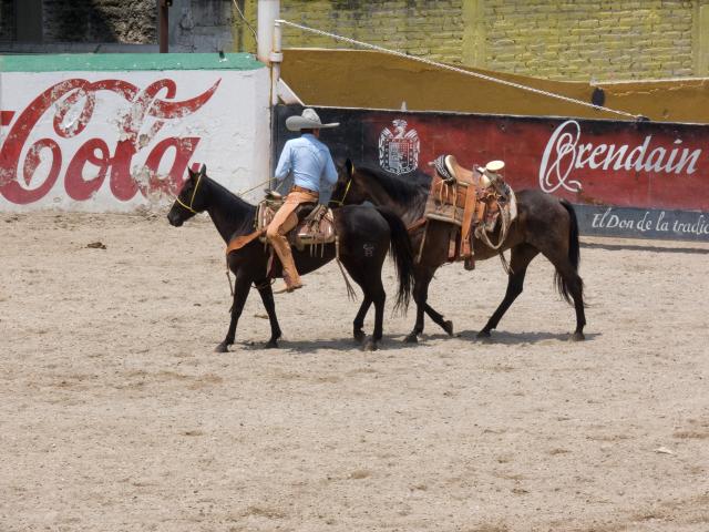 Charreria Guadalajara-18