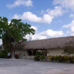 Ruinen der achäologischen Zone San Gervasio auf der Insel Cozumel