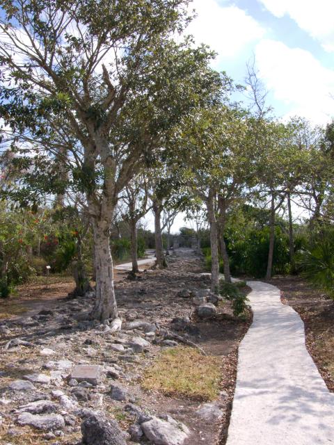 Ruinen der achäologischen Zone San Gervasio auf der Insel Cozumel-4