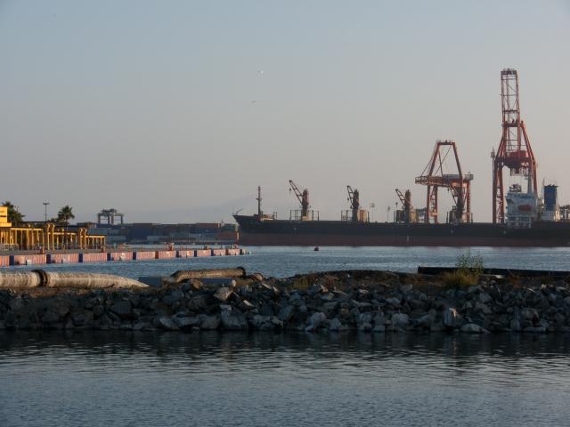 Im Hafen von Ensenada-6