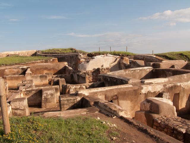 Archäologische Zone Alta Vista-9