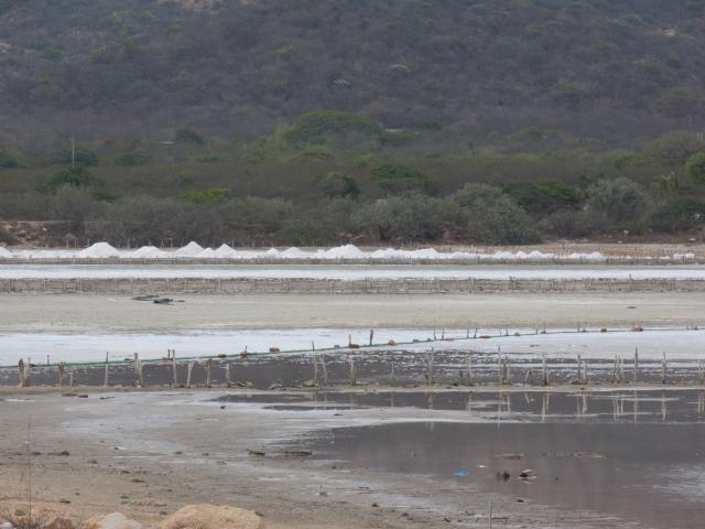 Salzgewinnungsanlagen an der Pazifik-Küste bei Salina Cruz-8