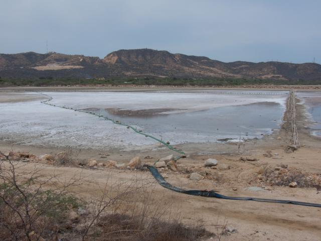 Salzgewinnungsanlagen an der Pazifik-Küste bei Salina Cruz-10