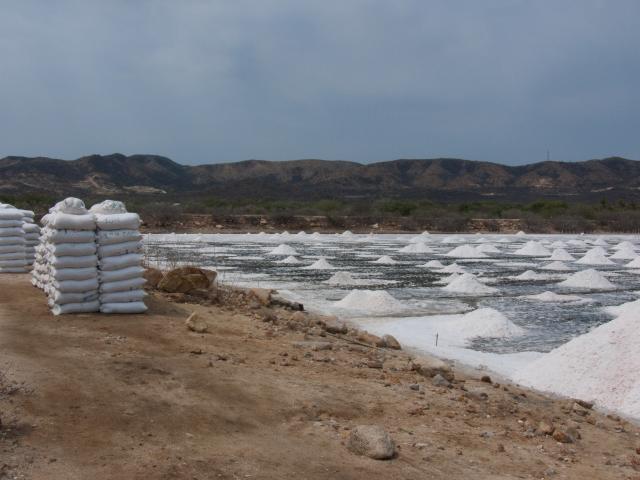 Salzgewinnungsanlagen an der Pazifik-Küste bei Salina Cruz-18