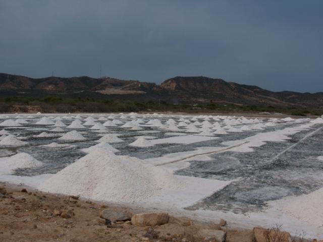 Salzgewinnungsanlagen an der Pazifik-Küste bei Salina Cruz-19
