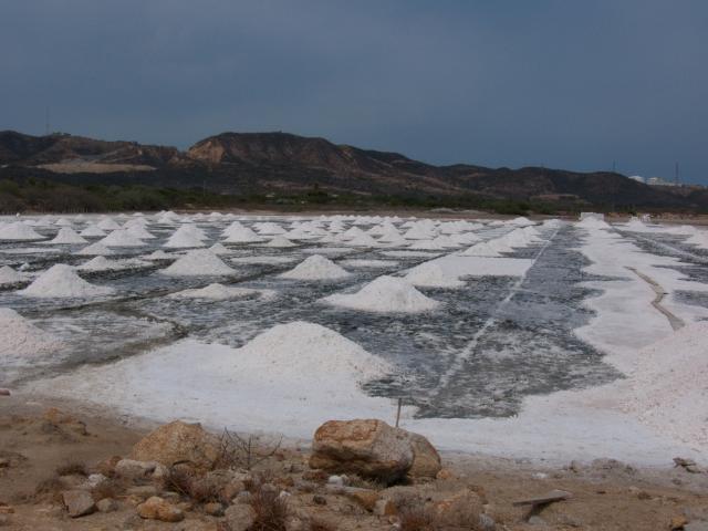 Salzgewinnungsanlagen an der Pazifik-Küste bei Salina Cruz-21