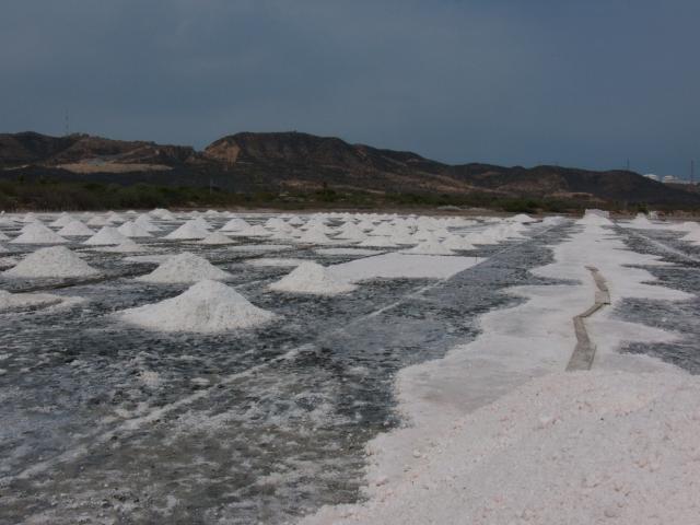 Salzgewinnungsanlagen an der Pazifik-Küste bei Salina Cruz-25